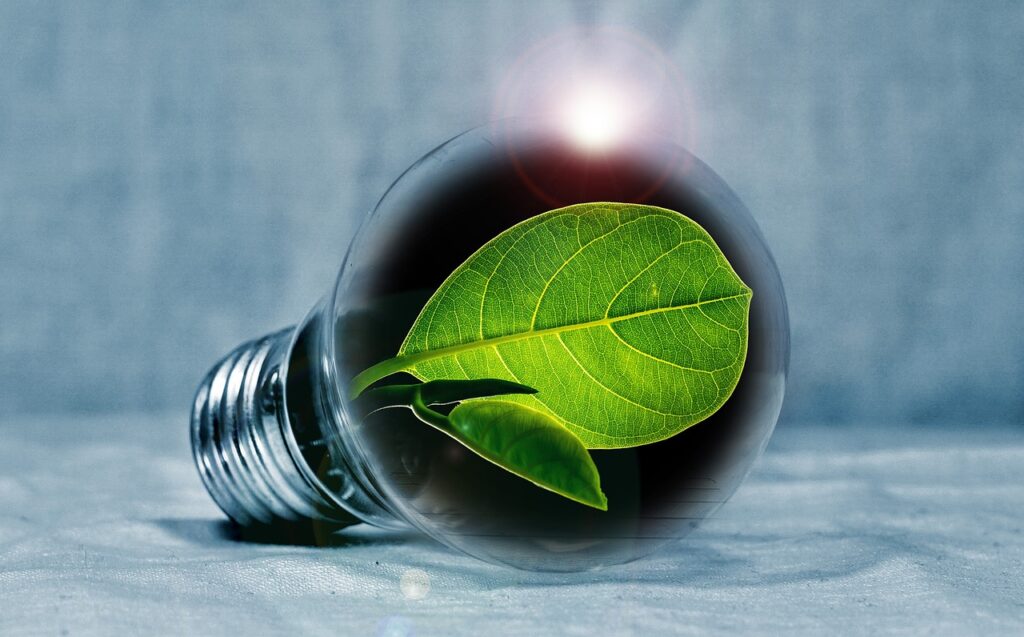 piro4d lightbulb 2631864 1280